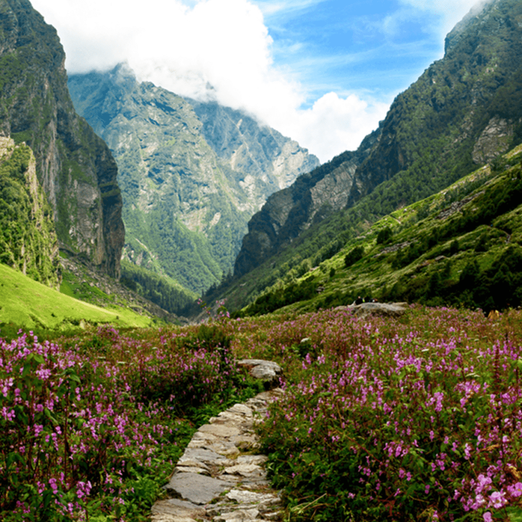 The Valley of Flowers Trek